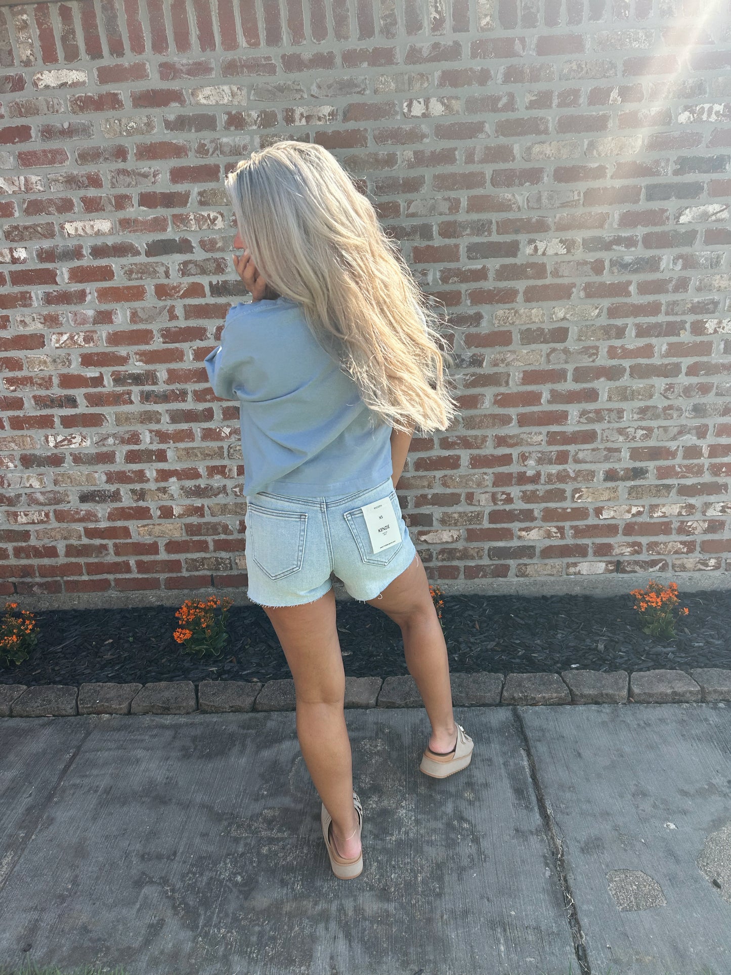 Kara HIDDEN denim shorts