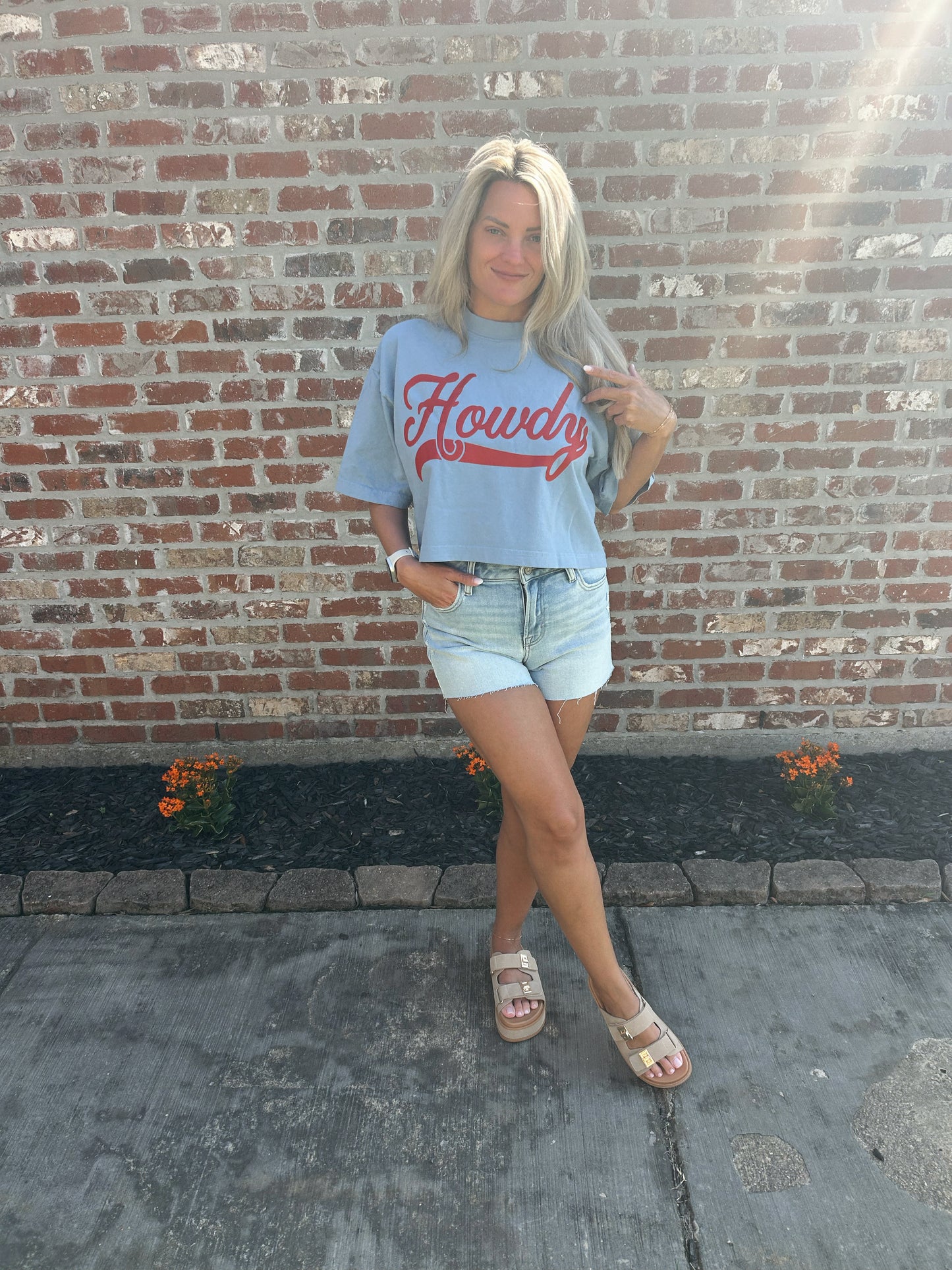 Kara HIDDEN denim shorts